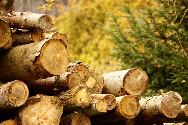 Wood Pile Removal in Midlothian