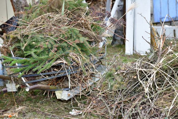 Yard Debris Removal in Midlothian