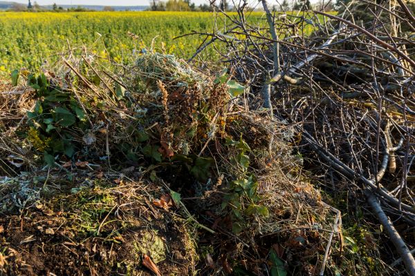 Brush Disposal in Midlothian
