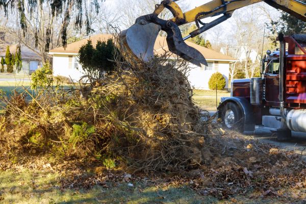 Storm Debris Removal in Midlothian