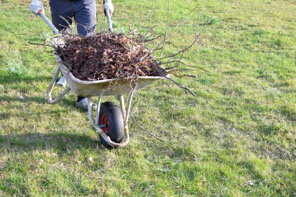 Yard Brush Removal in Midlothian