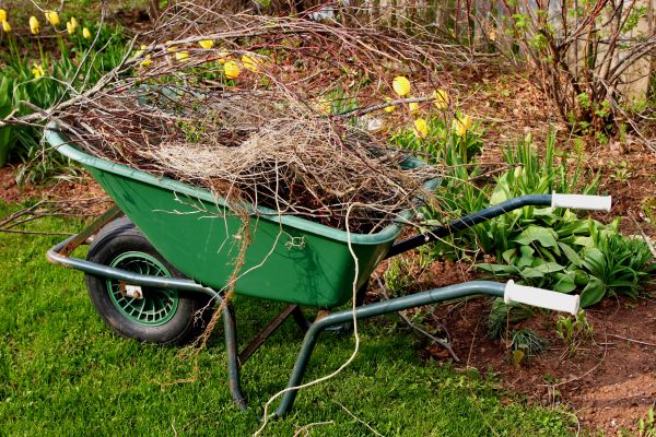 Lawn Waste Removal in Midlothian