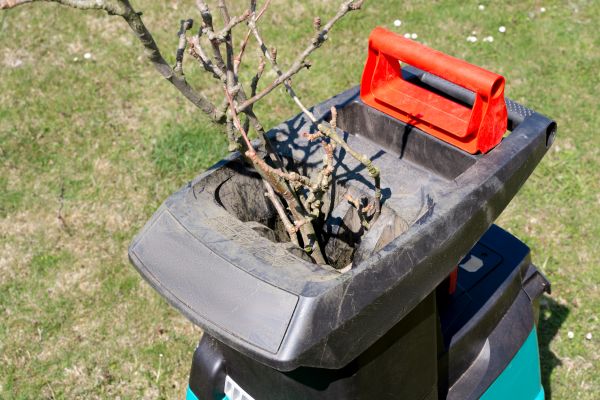 Brush Cleanup Service in Midlothian