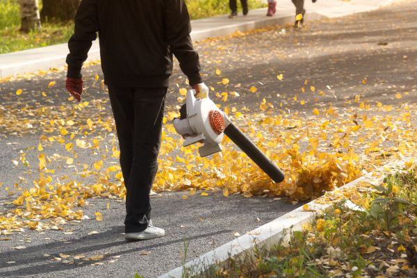 Commercial Leaf Removal in Midlothian