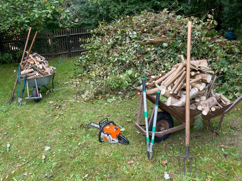Storm Cleanup