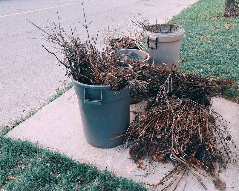 Lawn Waste Removal